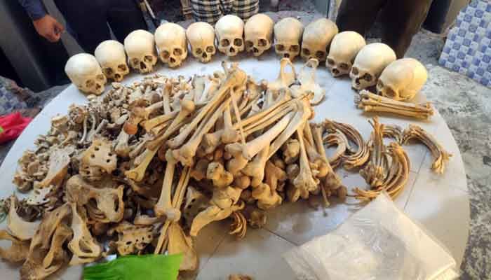 Smuggling of Human Skeletons Goes Unchecked