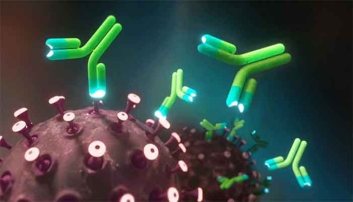 COVID: Post-Exposure Antibody Protection Trialled  