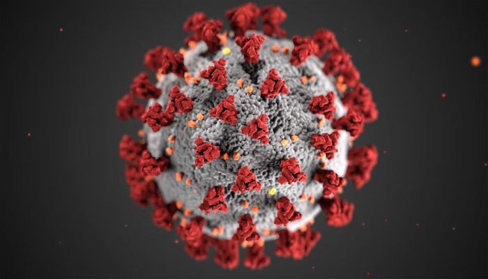 What You Need to Know about Coronavirus Today?