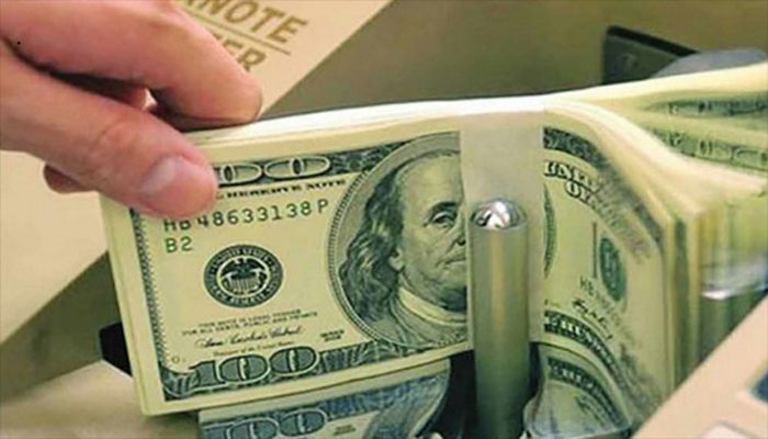 Remittance Inflow Rises by 34.95pc in 7 Months