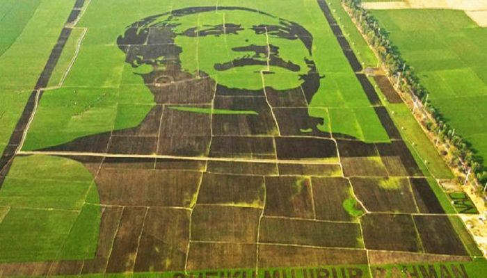 Crop Field Mosaic of Bangabandhu Makes World Record