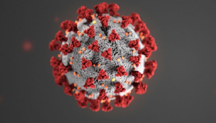 Bangladesh Reports Highest Virus Cases Since December