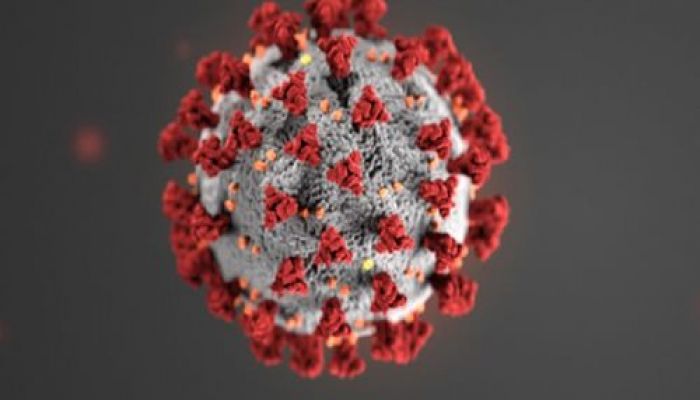 Coronavirus Claims 97 More Lives