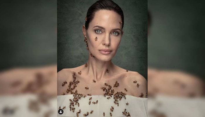 Angelina Jolie posed with bees to raise awareness on World Bee Day