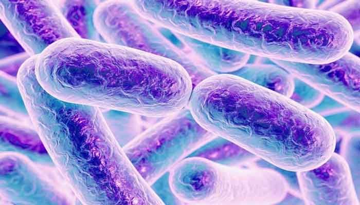 Higher Antibiotic Doses May Make Bacteria 'Fitter': Study   