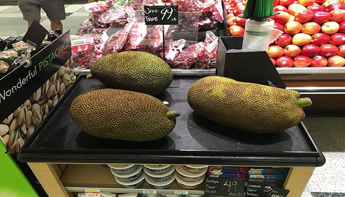 Jackfruits from Bangladesh || Photo: Collected 