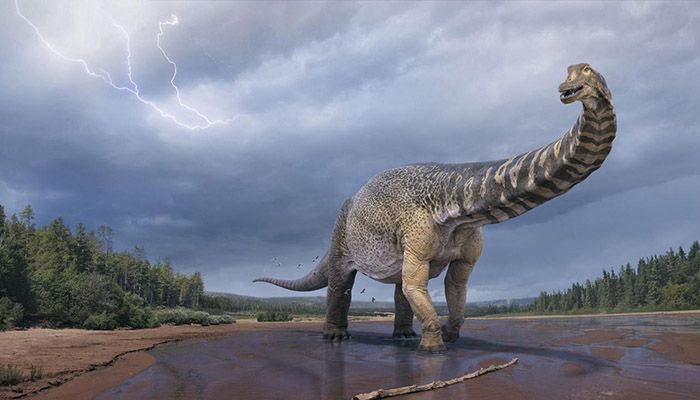 Footprints of Last Dinosaurs to Walk on UK Soil 110 Million Years Ago Found: Report