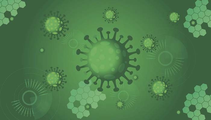 Coronavirus in picture. Photo: Collected 