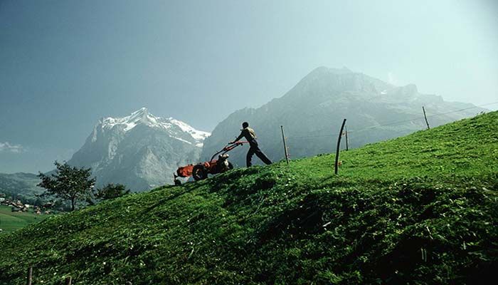 Swiss to Vote in Pesticide Ban Referendum
