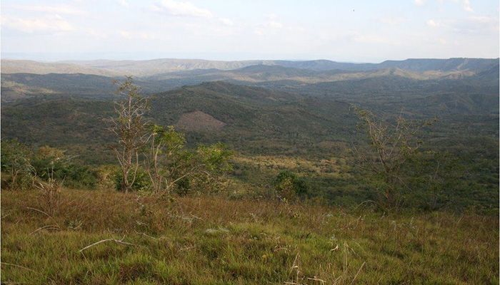 The World Land Trust said its latest appeal meant a critical habitat in Tanzania could never be used for commercial farming. || Photo: Collected  