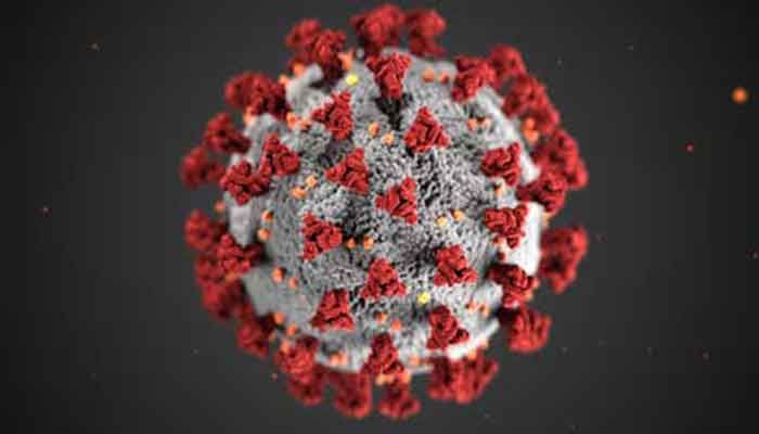 Indian Variant Detected in 80% of Covid-19 Infections: IEDCR  