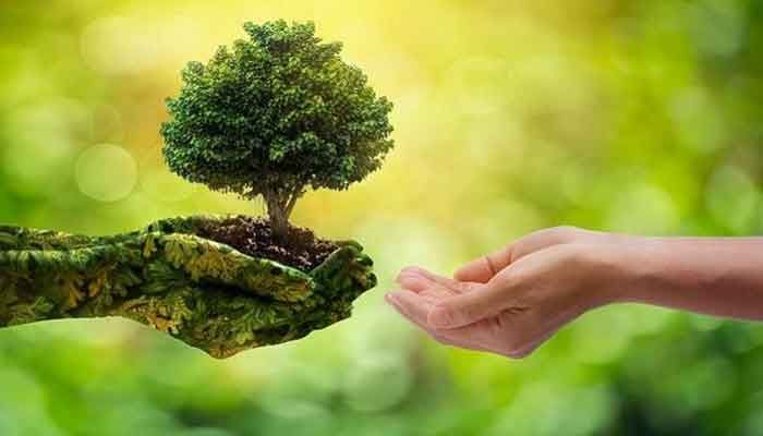 World Environment Day 2021: Theme, Ecosystem And More  