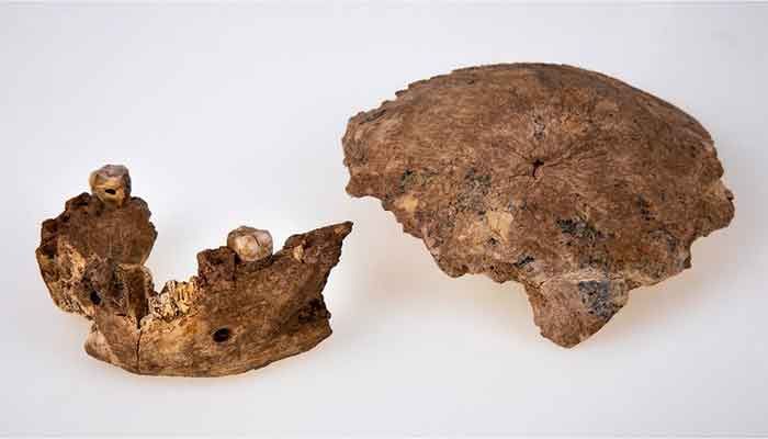'New Type of Early Human' Found in Israel   