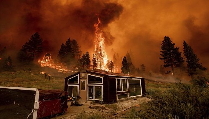 (Alpine County, California, US) The Tamarack fire burns behind a greenhouse in the Markleeville community. (Photograph: Noah Berger/AP)