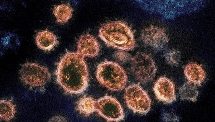 Evidence of 25,000-Year Old Coronavirus Epidemic Found in Human Genome