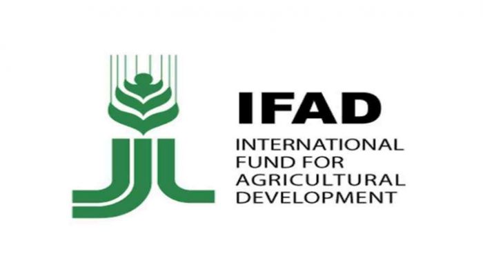 Food Systems Ignoring Poor Are Doomed to Fail: IFAD  