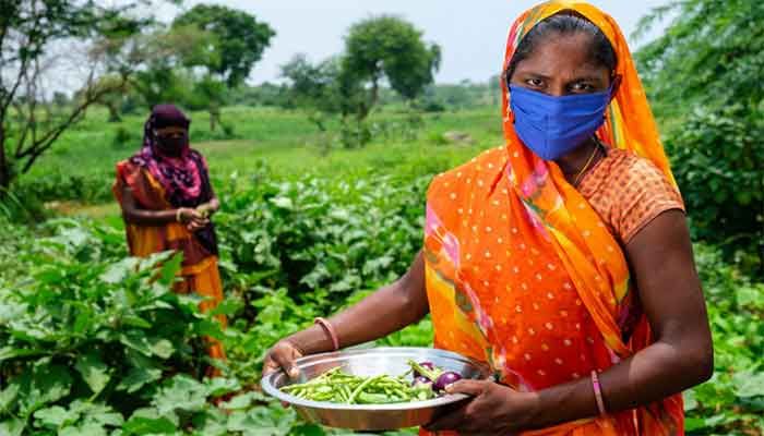 Women grow vegetables on a farm in India as part of a UNICEF-supported rural development programme. || Unicef Photo: Collected