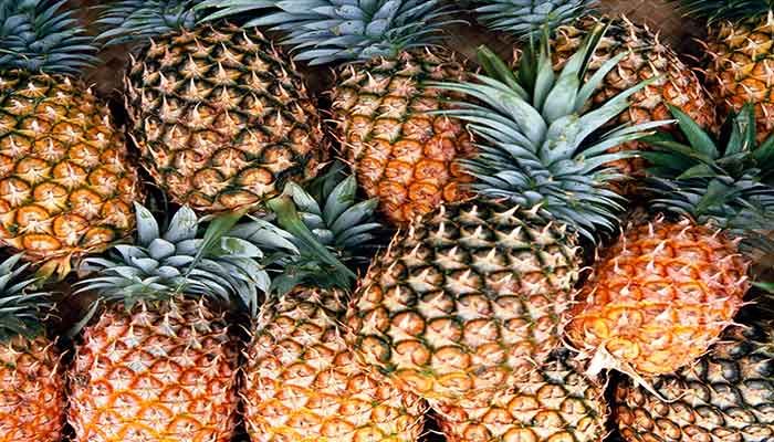 Tripura CM Sends 800kgs Pineapple for Bangladesh PM  