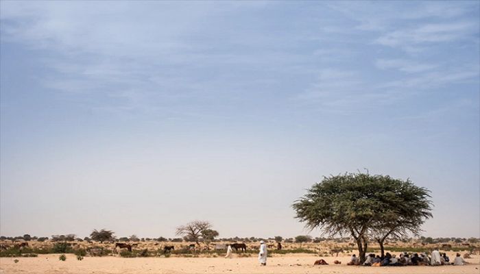 Fighting between Farmers, Herders Kills 22 in Chad: Official  