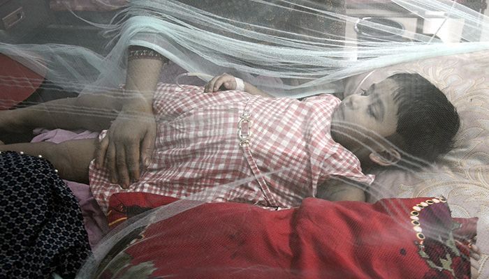 264 More Dengue Patients Hospitalized in 24 Hrs