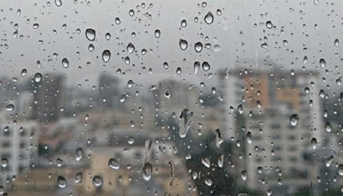 Light to Moderate Rain Likely   