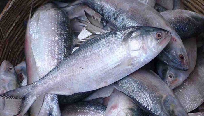 Govt to Consult Experts to Boost Hilsa Production: Dipu Moni    