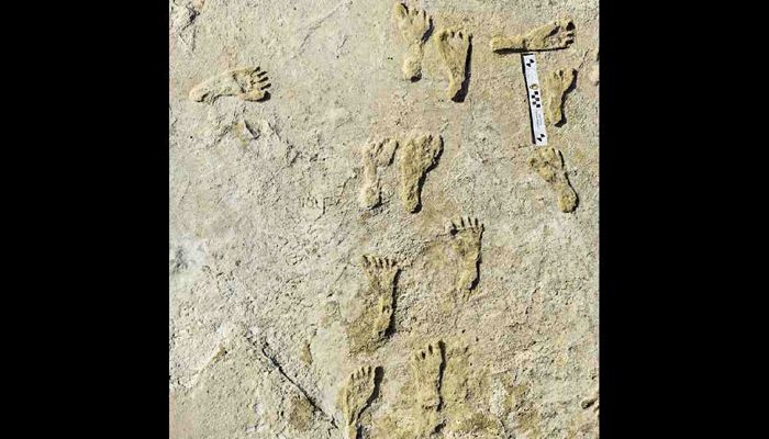 Oldest Human Footprints in North America Found in New Mexico  