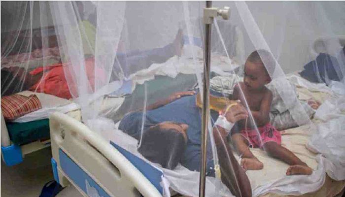 Dengue: 123 More Hospitalised, No Deaths in 24 Hours  