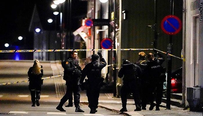 Five killed in Norway Bow-and-Arrow Attack, Suspect Arrested