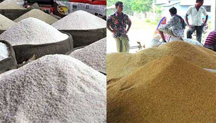 Govt to Buy Paddy at Tk 28, Rice at Tk 40  