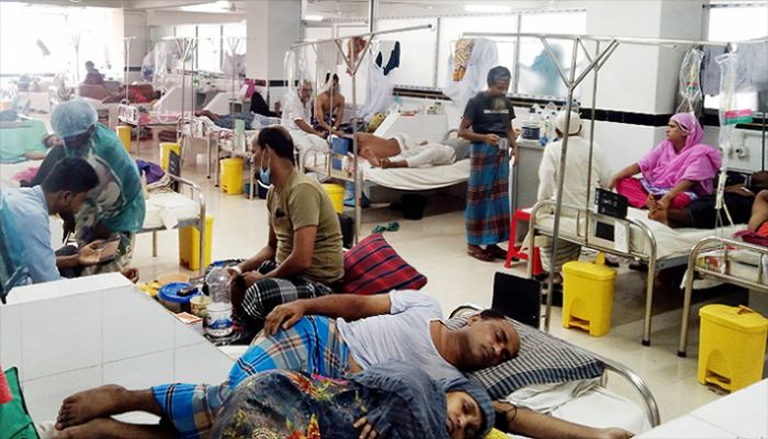 Dengue: 103 More Hospitalised in 24 Hours  