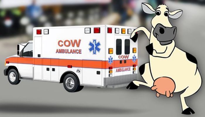 Ambulance Service for Cows, the First in India  
