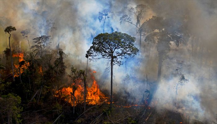 In this file photo taken on August 15, 2020 smoke rises from an illegally lit fire in Amazon rainforest reserve, south of Novo Progresso in Para state, Brazil. Brazil, home to 60 per cent of the Amazon rainforest, will sign a key international agreement for the preservation of forests during the COP26 in Glasgow, a diplomatic source informed on October 29, 2021. || AFP Photo: Collected