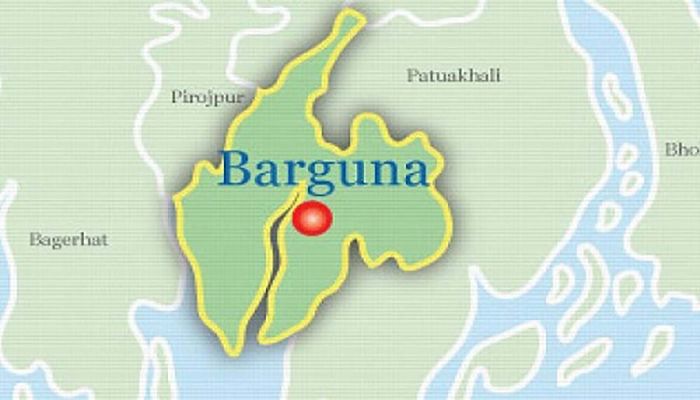 Housewife Comes Under Acid Attack in Barguna  