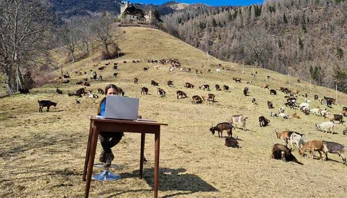 Fiammetta, 10, attends her online lessons surrounded by her shepherd father's herd of goats in the mountains, while schools are closed due to coronavirus restrictions, in Caldes, northern Italy, March 20. || Photo: REUTERS