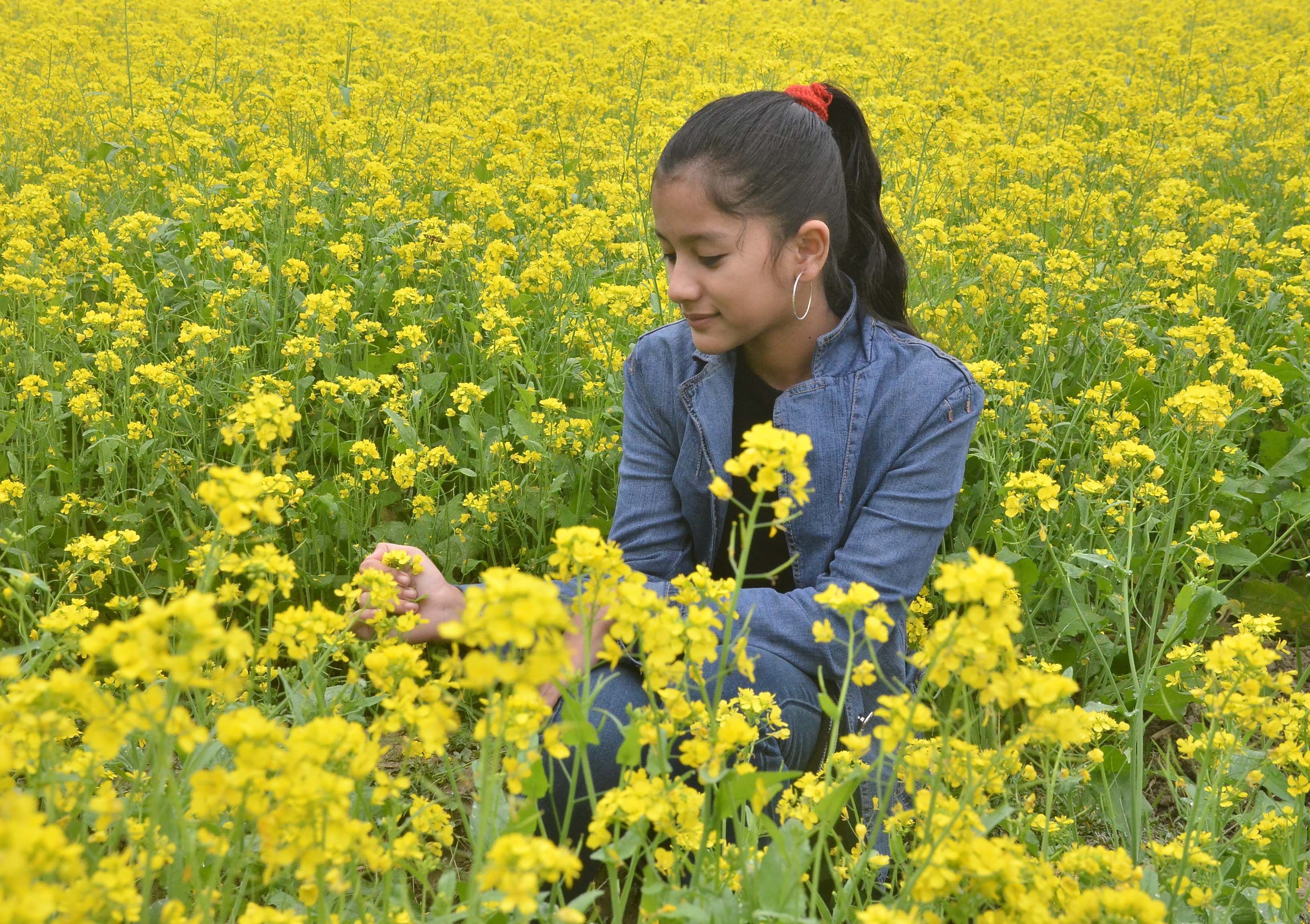 When you stand in the middle of a mustard field, its scent will fascinate you and there is a lot of oxygen in the mustard field during the day. The sweet smell will make you forget the annoyance of urban life.