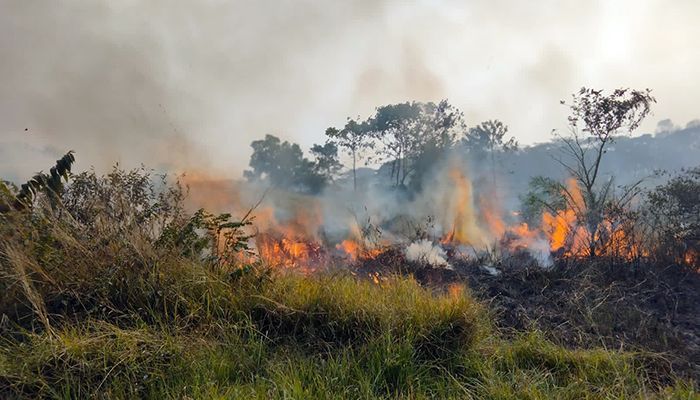 The fire burned most of the area adjacent to Monpura Island.