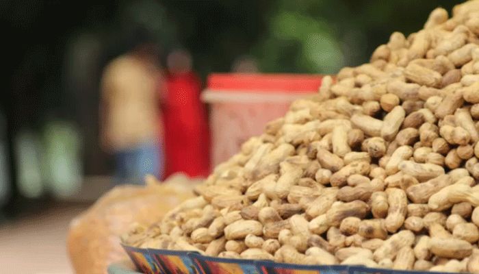 Adding Peanuts to Young Children's Diet Can Help Avoid Allergy: Study  