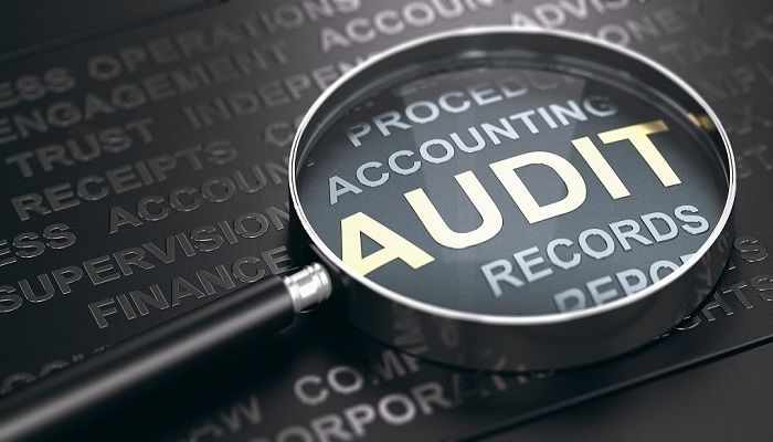 Chartered Accountants Propose New Audit Standards for SMEs