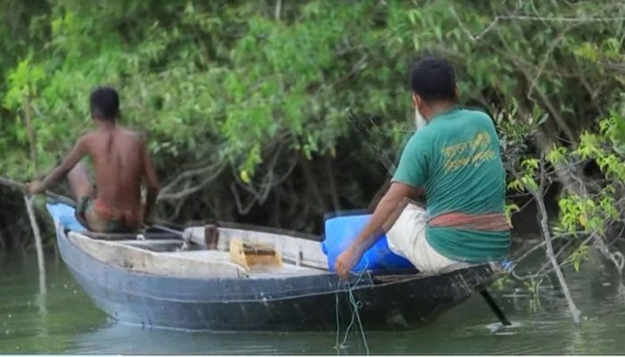 Six Detained for Illegally Netting Fish in Sundarbans     