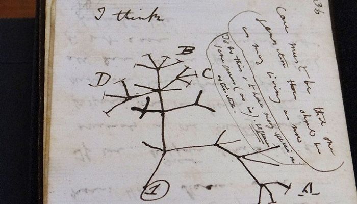 'Stolen' Charles Darwin Notebooks Mysteriously Returned   