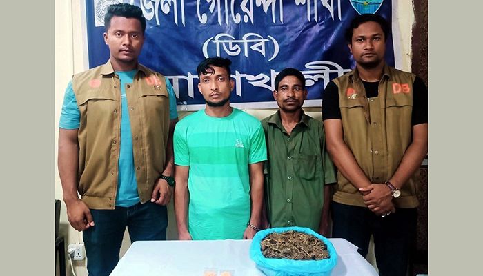 Two Held with Yaba And Cannabis in Noakhali      