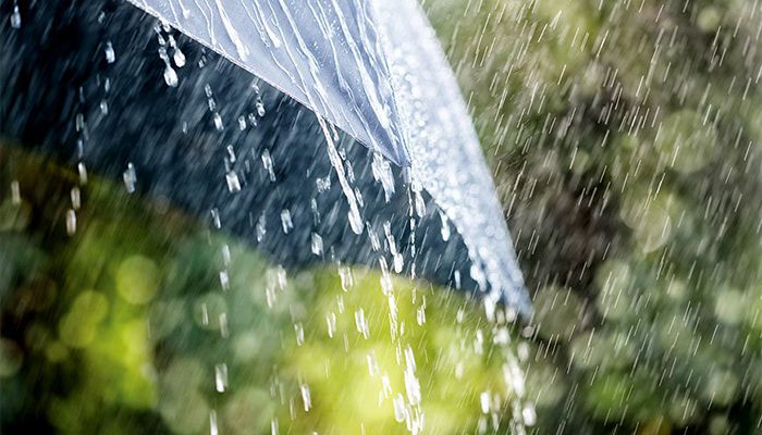 Rain Likely in Parts of Country    