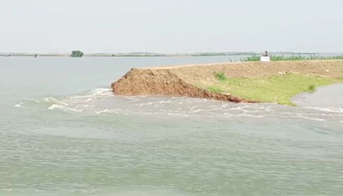 Floodwaters Breach Dam at Sunamganj's Halir Haor before Harvest