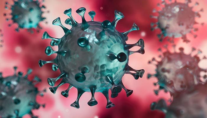 No Coronavirus Death for 15th Consecutive Day