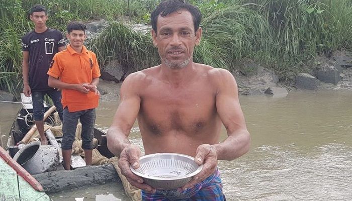 Indigenous Fishes Release 'Sample Eggs' in Halda River