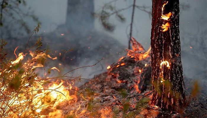 Number of Injured in Russia’s Krasnoyarsk Territory Fires Climbs to 19