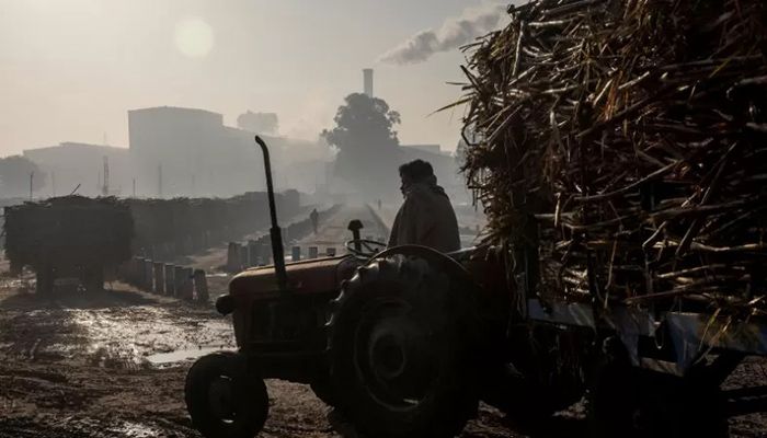 File photo shows a farmer sitting in a tractor loaded with sugarcane waiting to offload the crop outside a sugar factory in Baghpat district in the northern state of Uttar Pradesh, India || Reuters Photo