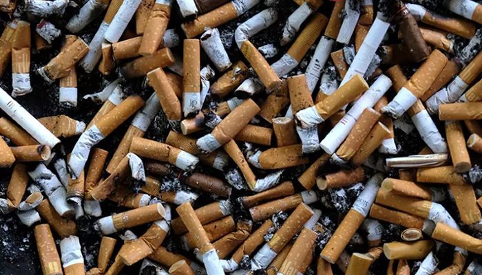 Big tobacco's Environmental Impact Is 'Devastating': WHO  