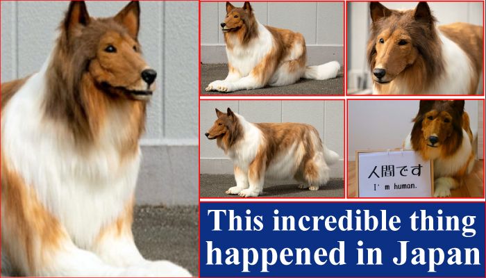 Man Spends 2 Million Yen to Become a Dog!   